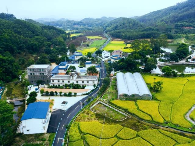 党建引领蝶变，柏塘小洞村跻身乡村振兴“模范生”