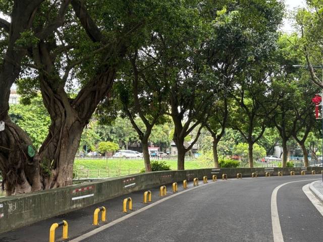 聚力通福 “石”干出彩​⑤ | 荔湾石围塘街：城市发展为人民，从细微处暖民心