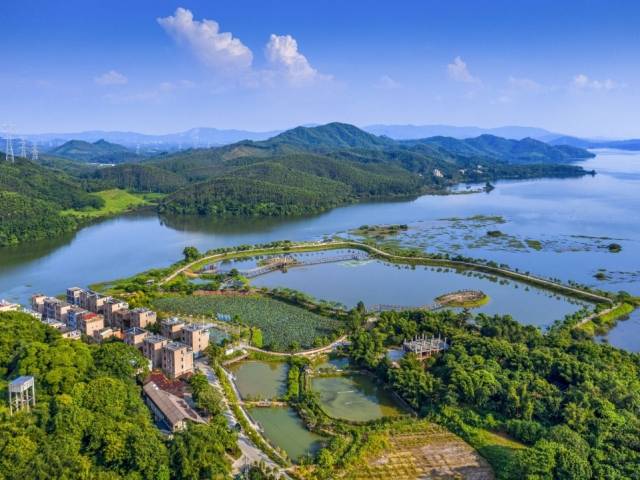 沿着最美旅游公路看乡村 | 第二站：横河镇郭前村