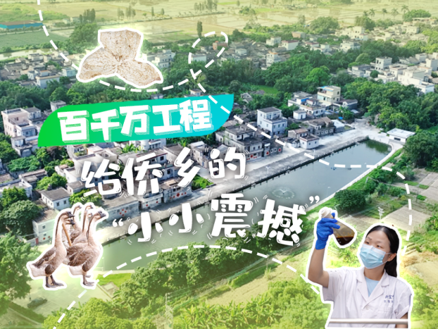 “百千万工程”给侨乡的“小小震撼”