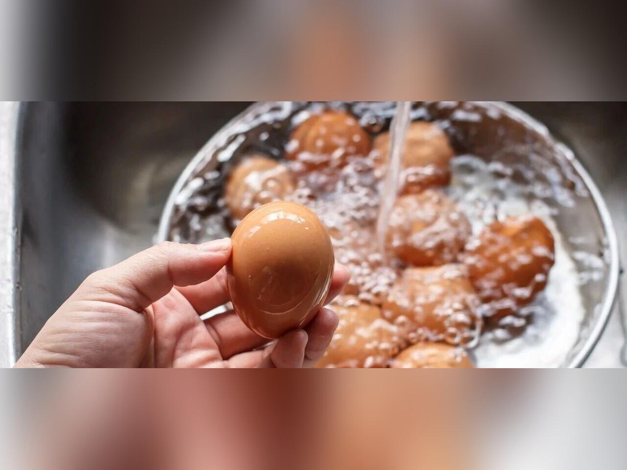 一颗蛋放倒一家人?洗蛋 vs 不洗蛋,哪个菌更多?