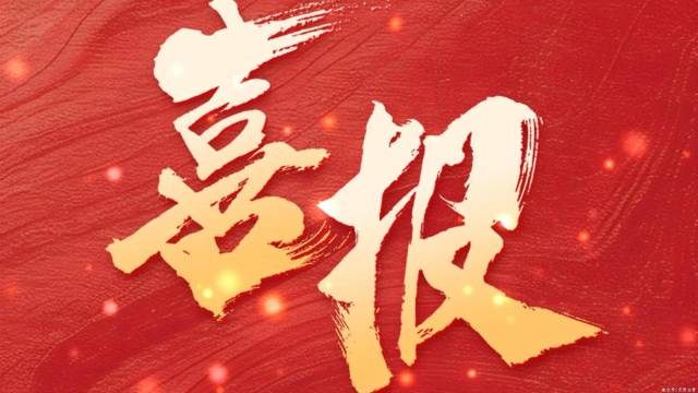 喜报！大沥镇“无闲旺地”项目荣获南海区表彰