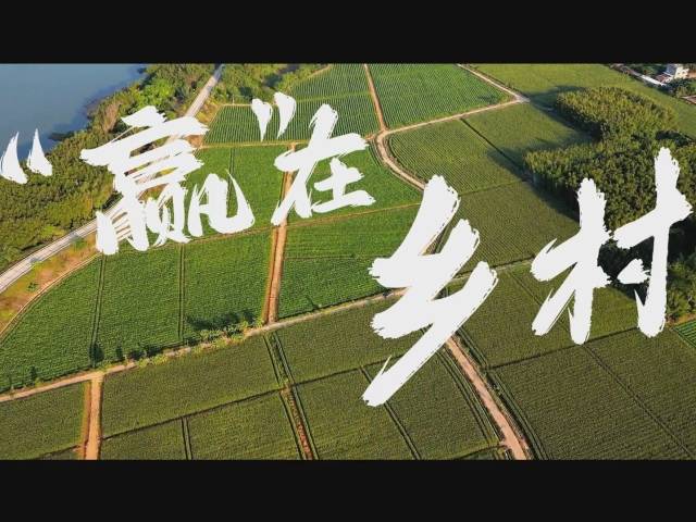 惠州惠城：《“赢”在乡村》