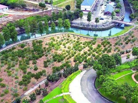 粤来粤好百千万 | 迎客50万！惠东高潭“百千万工程”让村强民富产业旺