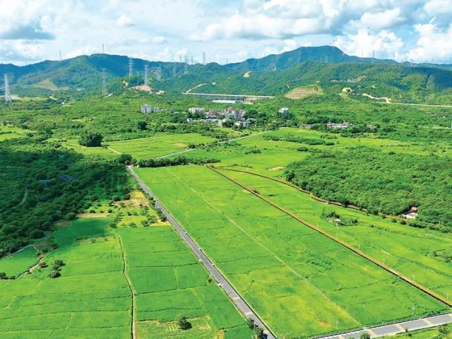 渔港升级景区！大亚湾霞涌打造“山海共舞”美丽乡村走廊