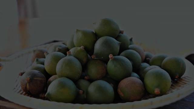 视频｜博罗龙溪：夏威夷果迎丰收 “坚果+”融合助力乡村振兴