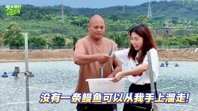 粤来粤好百千万探企行——粤生水产鳗鱼