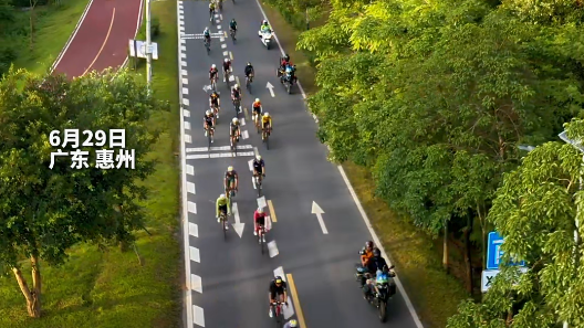 粤来粤好百千万 | 太治愈！被满屏的绿意包围！