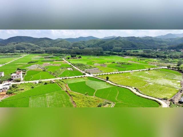 粤来粤好百千万 | 盘活土地 凝聚合力！鹤山这条村绘出乡村振兴新画卷