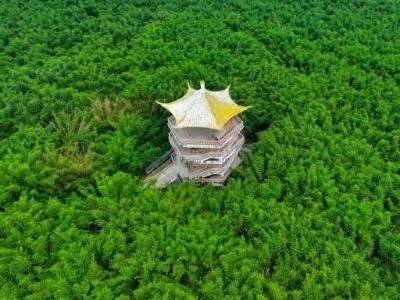 广东厚植绿色家底，释放生态红利