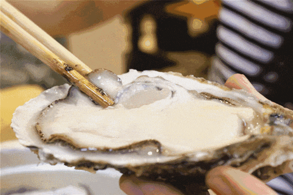 开渔!8天假期!还有什么理由不去湛江?