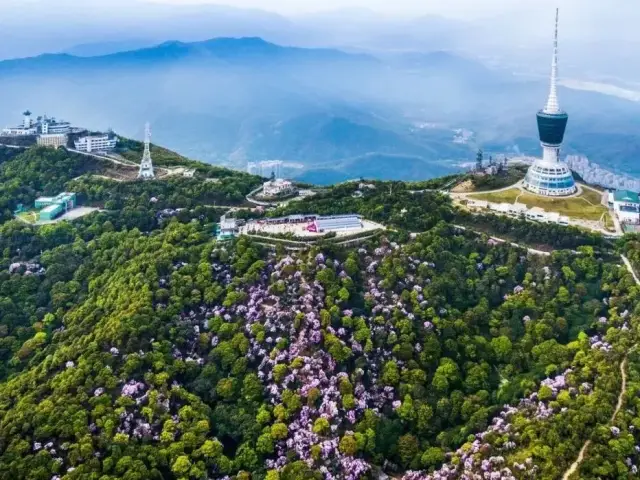 “十一”玩转东湖!解锁超in吃喝玩乐攻略