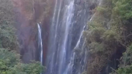 国庆假期去哪儿玩？来四会奇石河，畅享生态“森”呼吸！