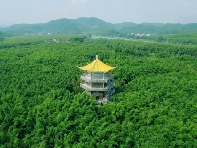 请到广宁过国庆 | 解锁你的专属绿美康养之旅