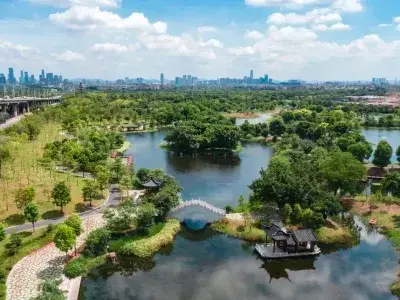 开放预约！广州市中心“湿地秘境”，还没多少人知道！