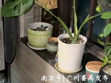 预防基孔肯雅热，室内防蚊很重要！