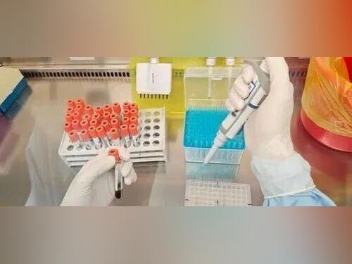 基孔肯雅热核酸检测为何要抽血?专家:这是唯一推荐且可靠的确诊方法