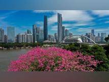 广州对十五运会赛区运动员食材供应实行全链条闭环管理