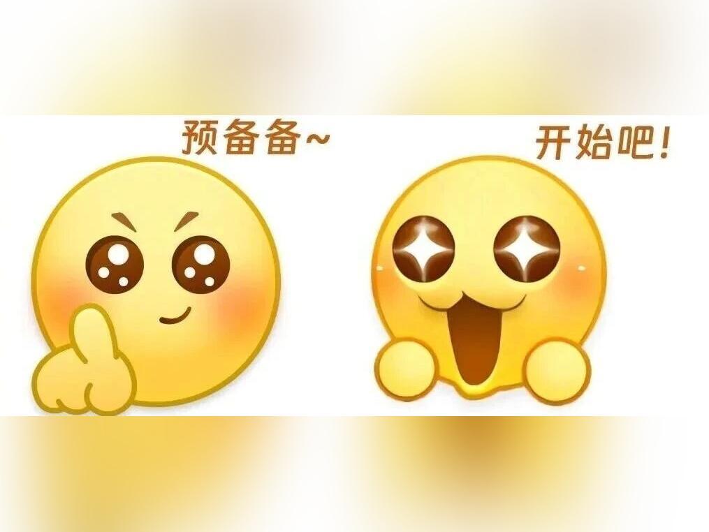 “小海豚”们准备好了!