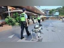 钢铁警员已上线！深圳多型机器人“硬核”护航十五运会