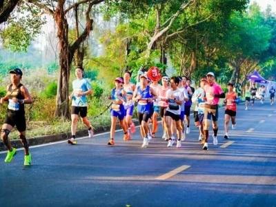 当十五运遇上茂名山海：一场赛事激活一城文旅
