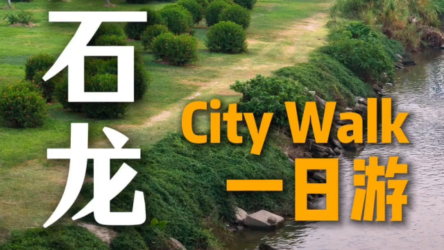 去石龙能干嘛？这个视频告诉你！