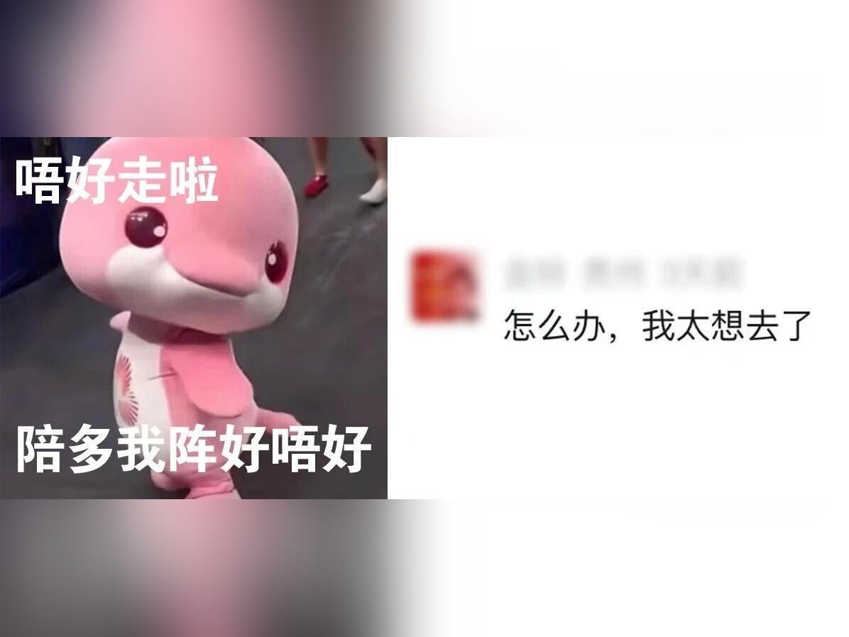 举办十五运的粤港澳,为什么让人“上头”?