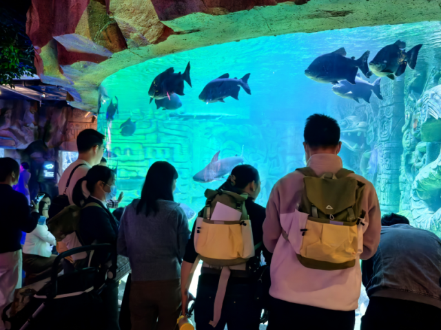 大手拉小手，护苗共成长！钟村街“双百工程”社工站举办亲子出游活动