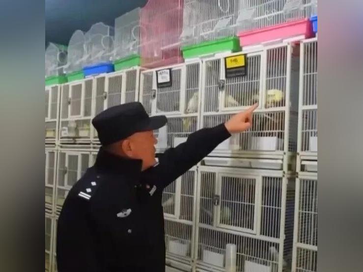 你们的生命,我们来保护!