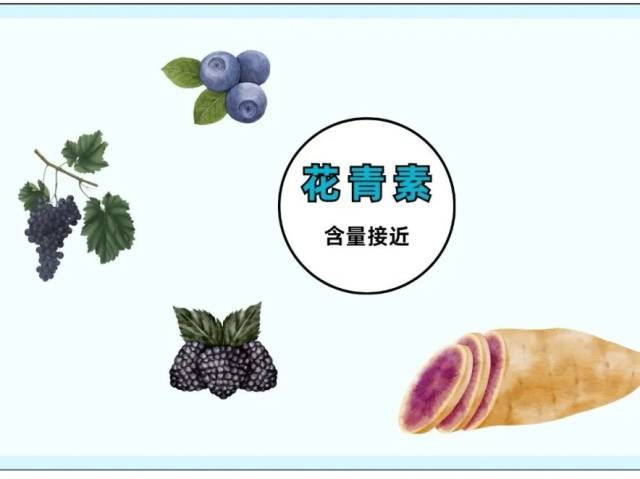 2 块钱的红薯,真不如 4 块的紫薯吗?