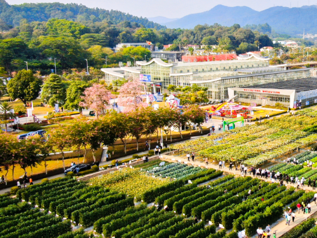 芯路径,芯力量——广东种业振兴“五年见成效”创新实践