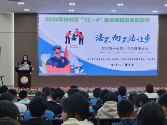 钟村街多管齐下开展宪法宣传周活动