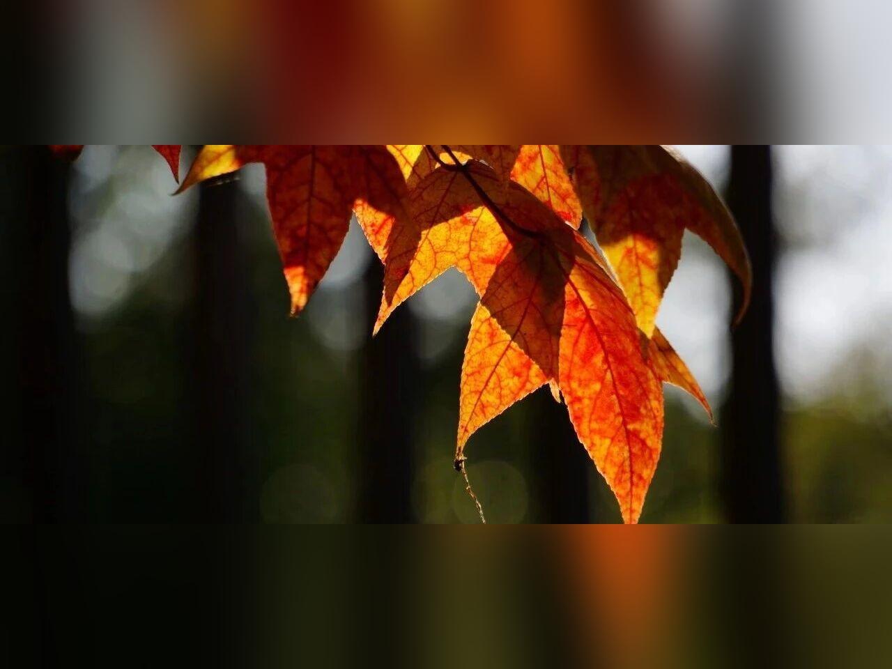 教师真正的成长,始于三次觉醒