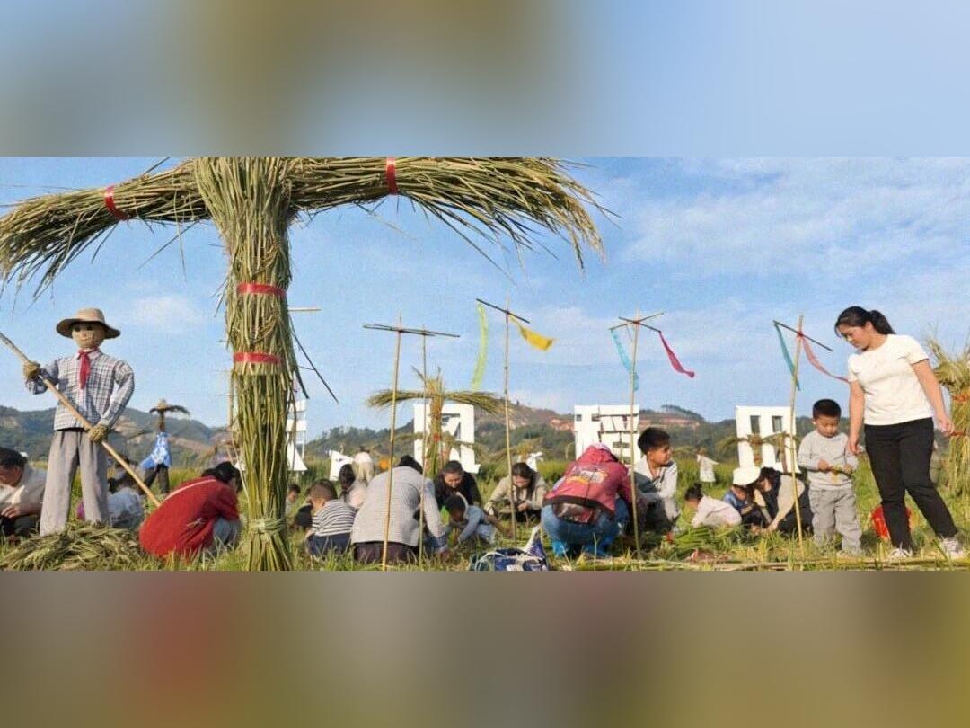 农耕体验+萌宠互动!元旦遛娃首选四会禾风稻田农场→