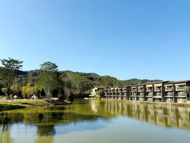 暖冬泡汤正当时！元旦假期龙门“温泉热”火力全开