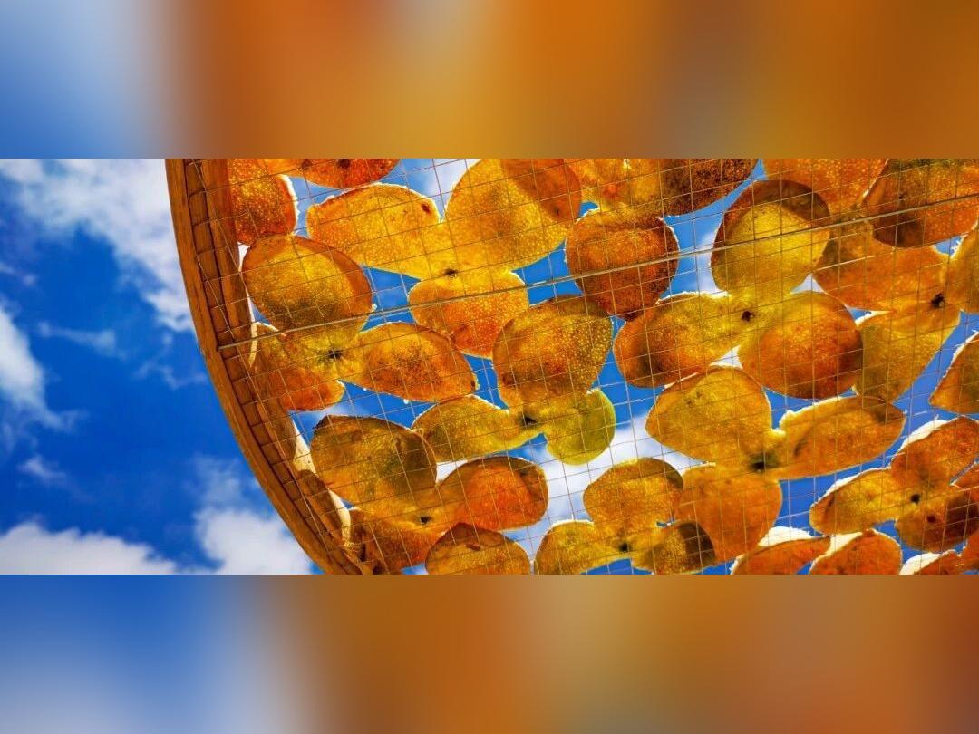 江门这块“皮”,为何能在“广货”里占据重要位置?