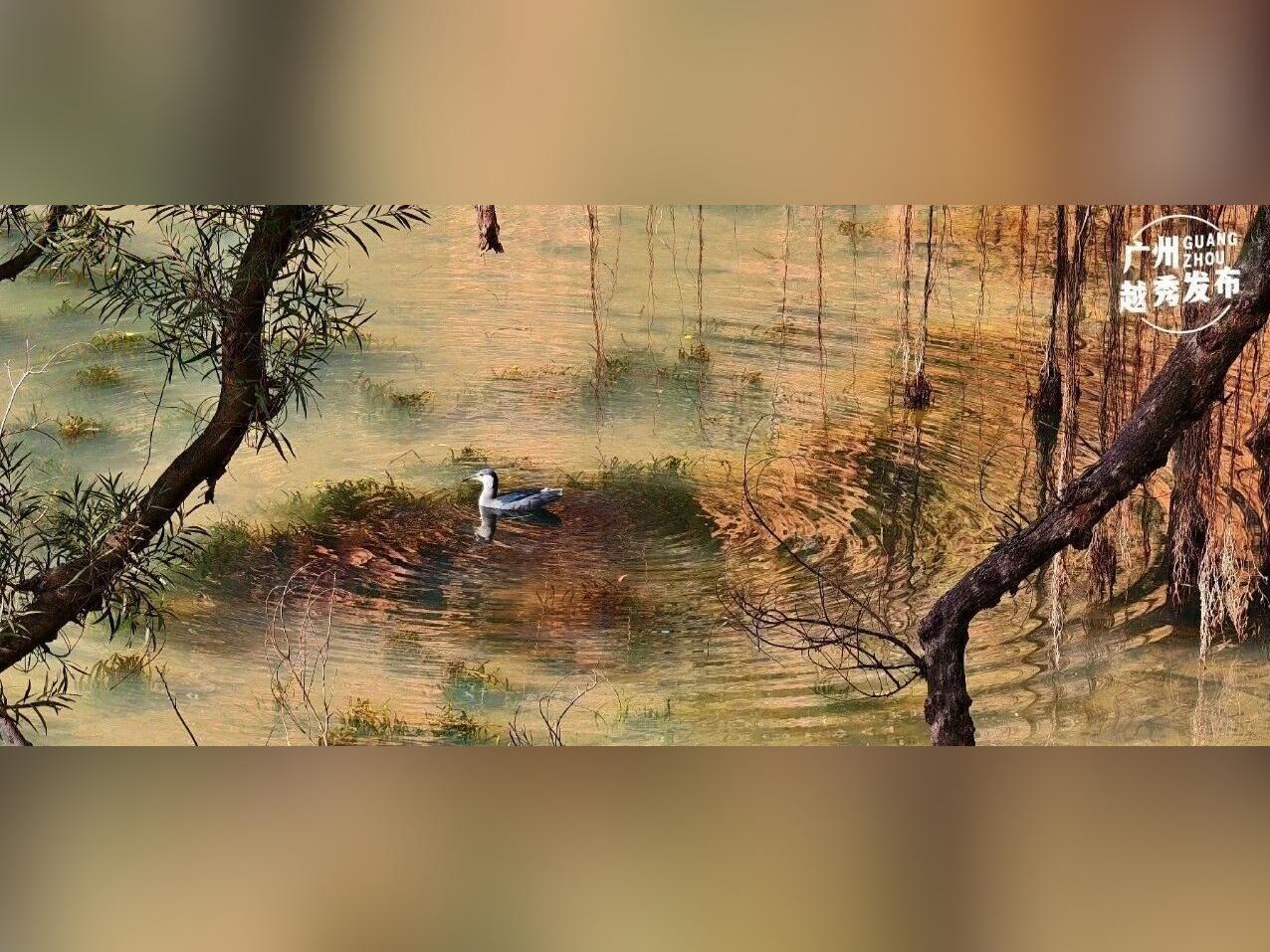 误闯仙境!来越秀,邂逅现实版「水墨画」