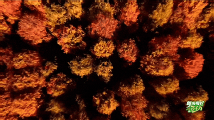 七星岩沉浸式打卡指南｜跟着走，解锁山湖秘境的深度玩法