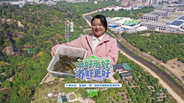 蓝龙虾“钳”动农文旅融合蓝海市场