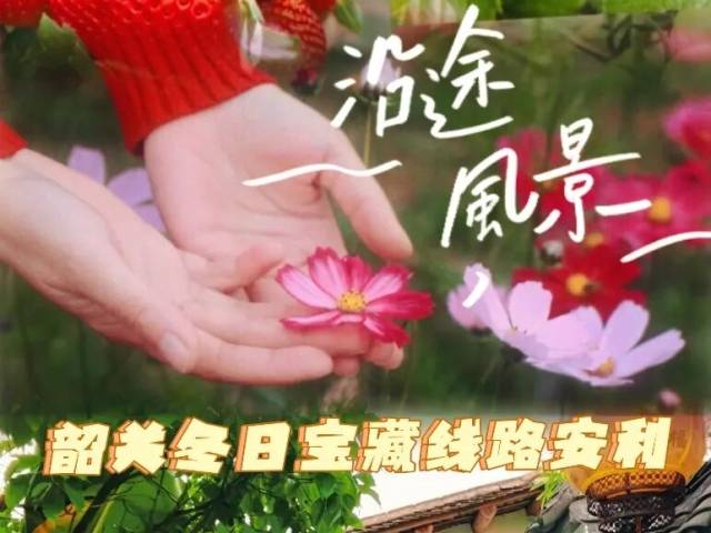 草莓管够，格桑花盛开，私汤温泉别院…假期跟着韶关这条宝藏线路出发，体验感很丰富！