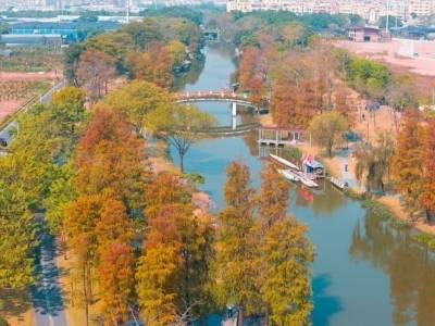 随手拍都是朋友圈大片！一键解锁荔湾冬日限定→