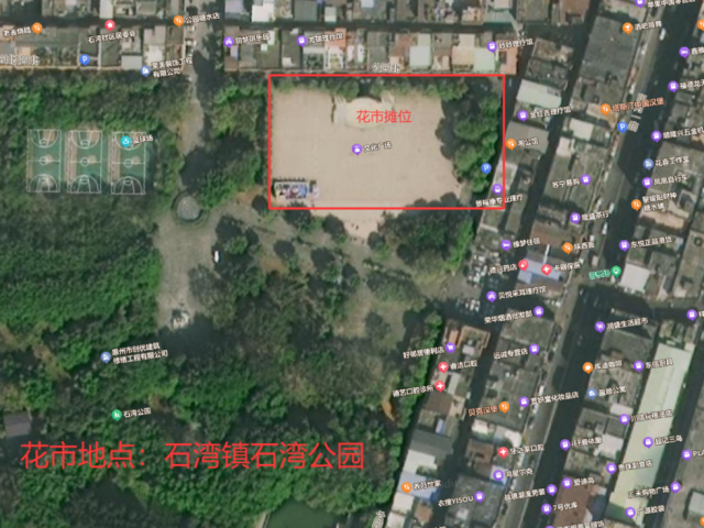 2026惠州花市“剧透”来了！这些地方的年味陆续上线