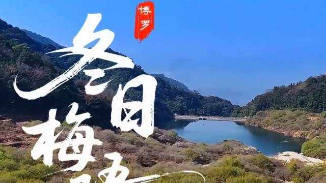 来博罗邂逅一场梅花“雪”！