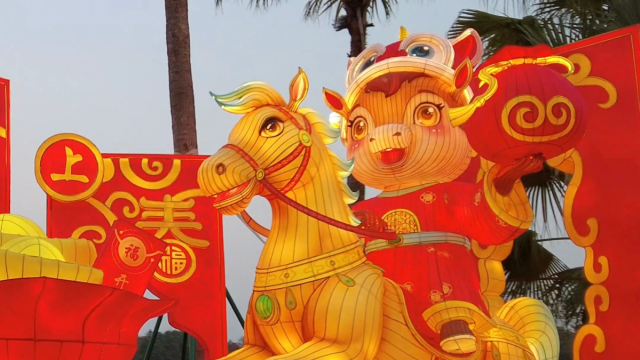 东山湖公园新春灯展，亮了！