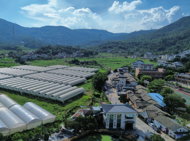 14.5公里！惠阳“将军故里·红色客乡”美丽乡村走廊来了