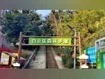 “广州绿脊”来了!白云区140公里森林步道下月全面开放