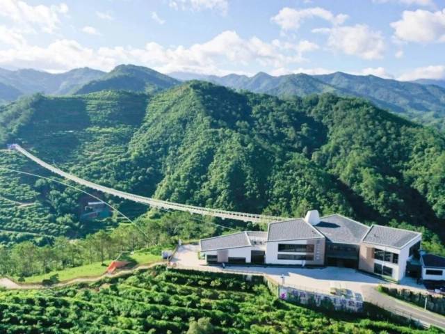 2026李花节要来了！出片率100%！来信宜get浪漫花海~