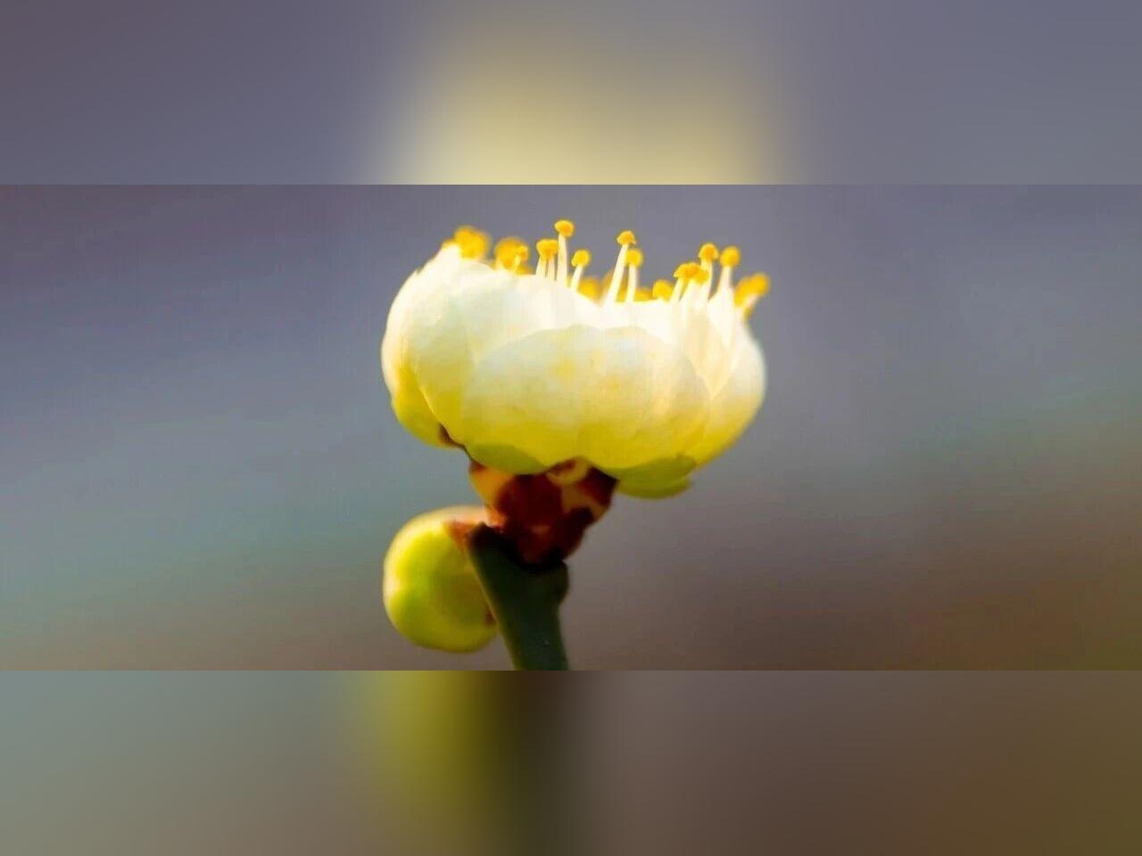 为什么劝父母,不要逢人就讲孩子的情况?