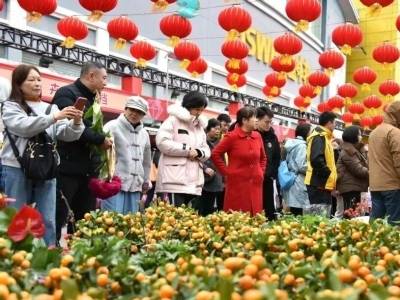 广货行天下｜定了！番禺花市最新安排→