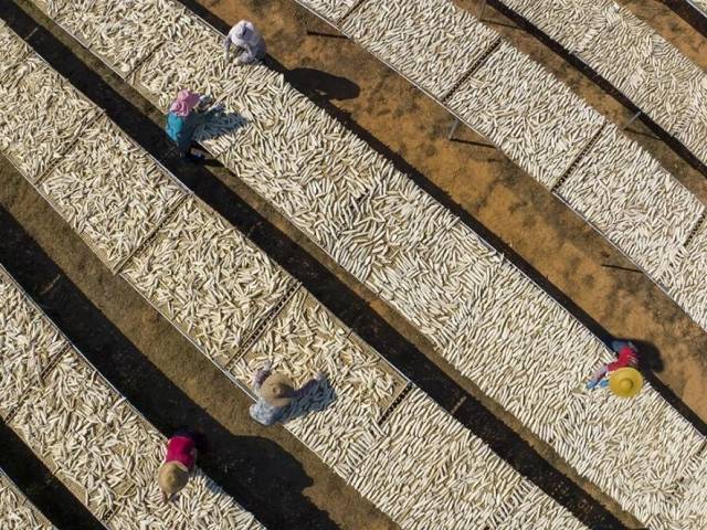 广货行天下 | 海风与阳光，晒出“博贺味道”